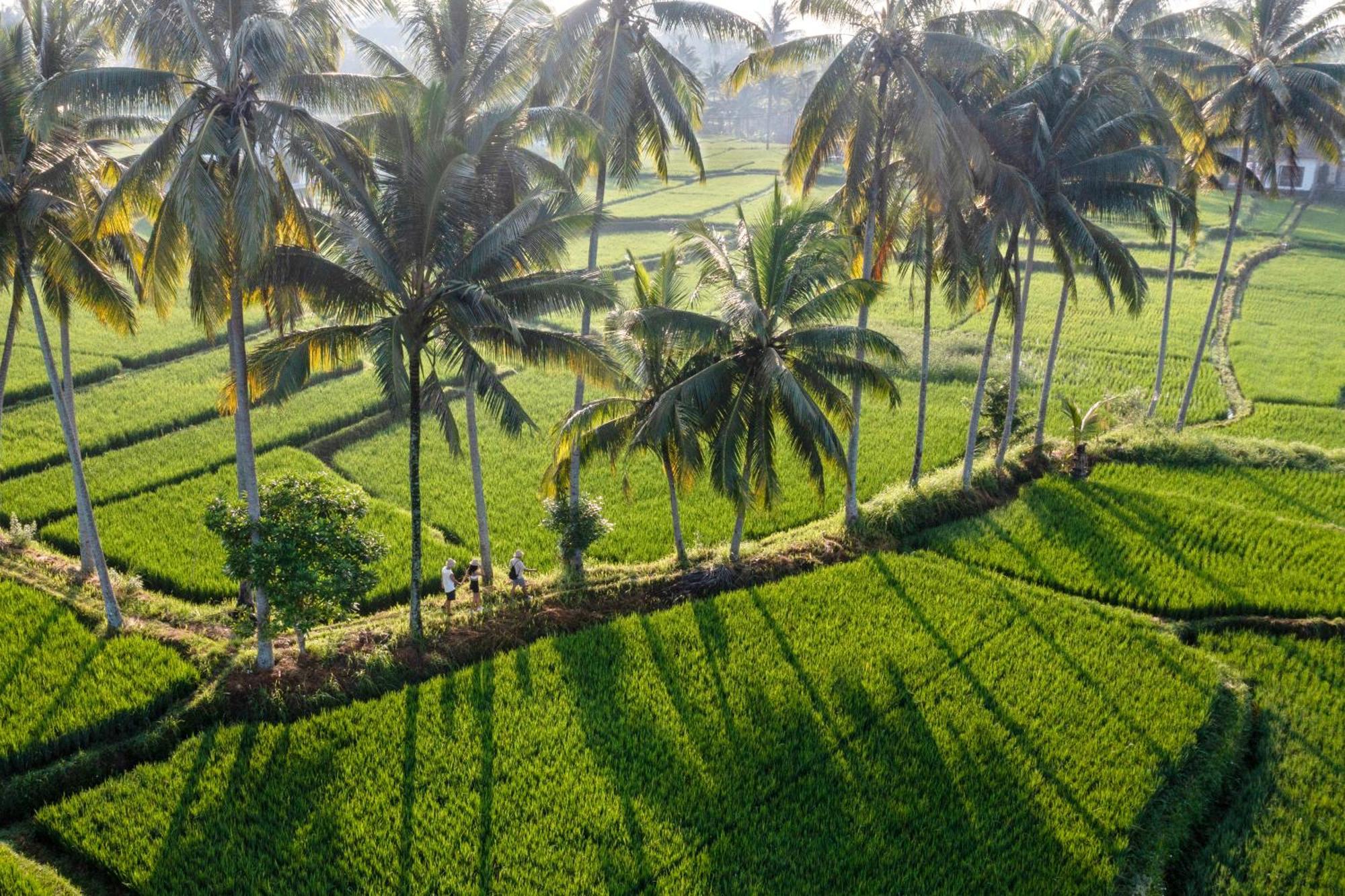 Wooden Ganeca Villas By Pramana Villas Ubud Exteriör bild